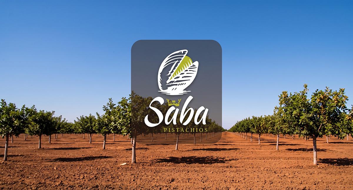 SABA Pistachos invierte 2.118.000 euros para ampliar su planta de Villamalea