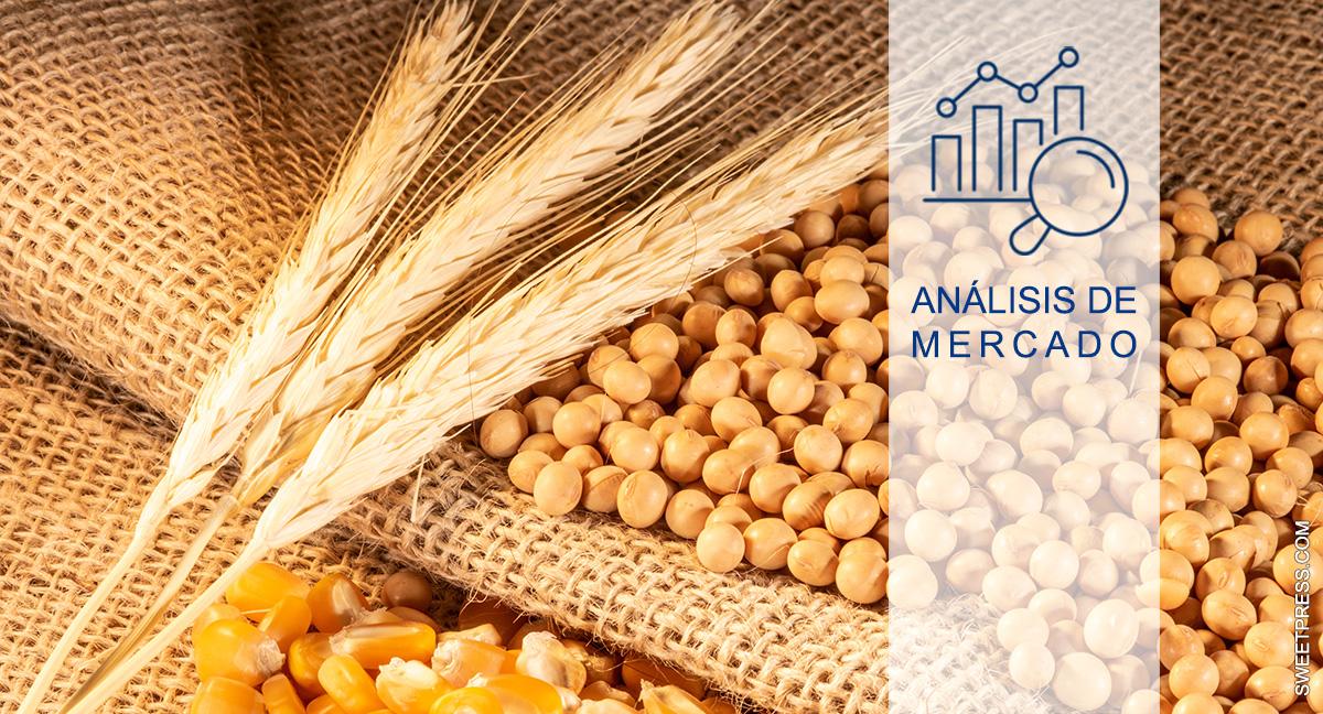 Tensión en los mercados de maíz y trigo por la sequía europea