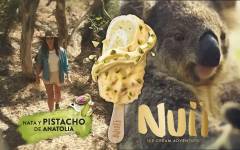 Froneri presenta su nuevo helado con Nata y Pistacho de Anatolia