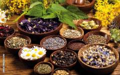Bordas refuerza su gama de flavonoides estandarizados bajo la marca <i>Nature for Life</i>