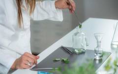 Advant Flavours &amp; Fragrances construye una nueva planta de “última generación”
