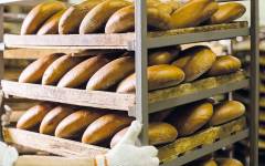 3A Biotech, innovación verde al servicio del pan