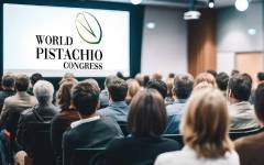 España acogerá un evento mundial dedicado al pistacho