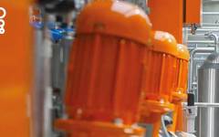 La innovación se une a la sostenibilidad en Tanis<b> </b>