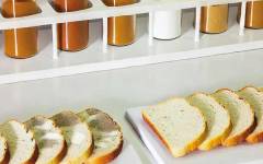 Soluciones de 3A Biotech para estabilizar alimentos