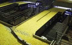 Key Technology (CIMA) impulsa la producción del mayor fabricante de patatas brasileño