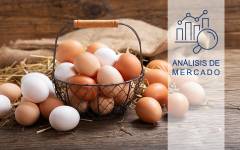 Los precios del huevo alcanzan precios récord por el impacto de la gripe aviar