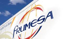 Frumesa creció un +22% en 2024