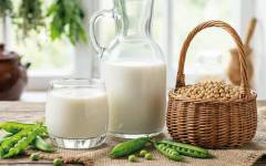 El auge plant-based impulsa la innovación de Dallant para soluciones vegetales