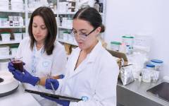 IGH Group apuesta por la innovación como motor de crecimiento