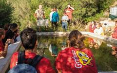 Grefusa presenta el Grefubosque, un proyecto con impacto ambiental