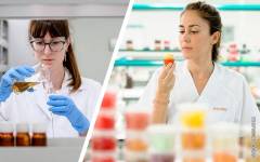 Sabores ‘swicy’, asiáticos y tropicales son tendencia para la compañía Scentium