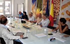 Cuenca acogerá el XI Encuentro de la Almendra y la Avellana, en abril de 2026