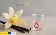 Hausmann Aromatic investiga una nueva vía enzimática para obtener aroma de vainilla
