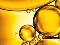 Brenntag y Calyxia amplían su acuerdo de distribución de ingredientes