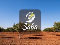 SABA Pistachos invierte 2.118.000 euros para ampliar su planta de Villamalea