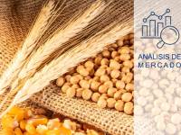 Tensión en los mercados de maíz y trigo por la sequía europea