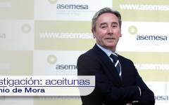 Asemesa: “El 70% de la facturación de aceitunas corresponde a ventas en el exterior”