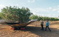 Tensión en el mercado mundial del pistacho por el conflicto en Oriente Medio
