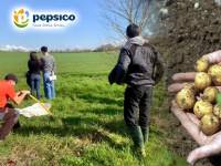 PepsiCo extiende las prácticas de agricultura regenerativa a más de 4.000 nuevas hectáreas en España