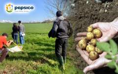 PepsiCo extiende las prácticas de agricultura regenerativa a más de 4.000 nuevas hectáreas en España
