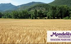 Mondelez supera las 24.700 toneladas de trigo sostenible en la cosecha de 2022 en España