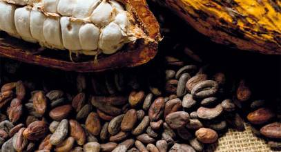 Grupo Lacasa: “El negocio internacional es clave en nuestra estrategia global”