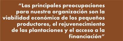 Organización Internacional del Cacao: “El cambio de tendencia de los precios se debe a la reducción de demanda”