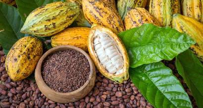 El cacao reduce a la mitad su precio a inicios de enero respecto al año anterior