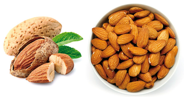 Del campo al paladar: cómo se fabrican las almendras tostadas