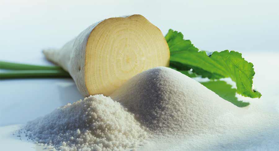 Más allá del GLP-1: ingredientes para el éxito a largo plazo