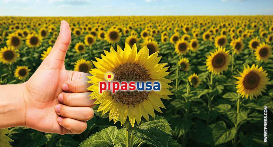 Calidad, consistencia y trazabilidad, la clave del éxito de las pipas de girasol estadounidenses