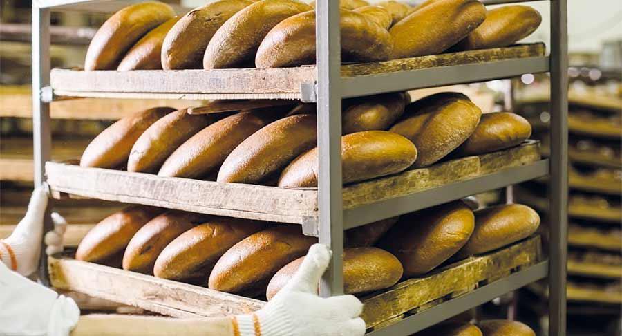 3A Biotech, innovación verde al servicio del pan