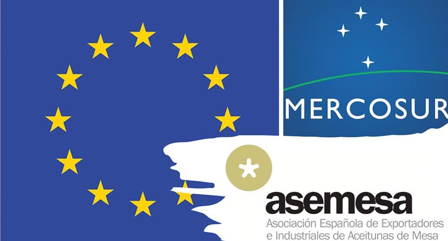 Asemesa denuncia la “falta de sensibilidad” con la aceituna de mesa en el acuerdo UE-Mercosur
