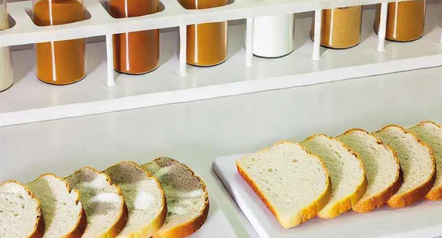 Soluciones de 3A Biotech para estabilizar alimentos