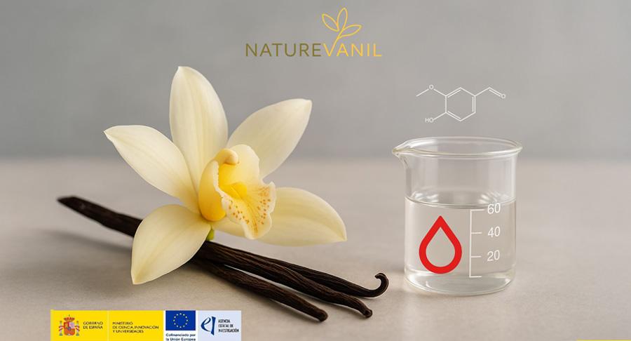 Hausmann Aromatic investiga una nueva vía enzimática para obtener aroma de vainilla