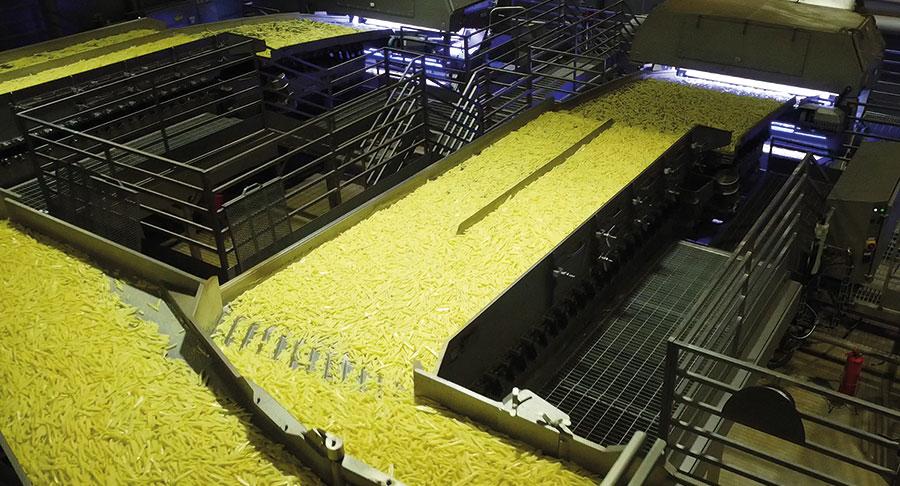 Key Technology (CIMA) impulsa la producción del mayor fabricante de patatas brasileño