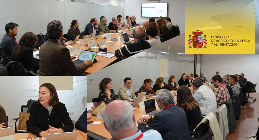 La almendra encabeza la recuperación de la producción de frutos secos en la campaña 2025/2026